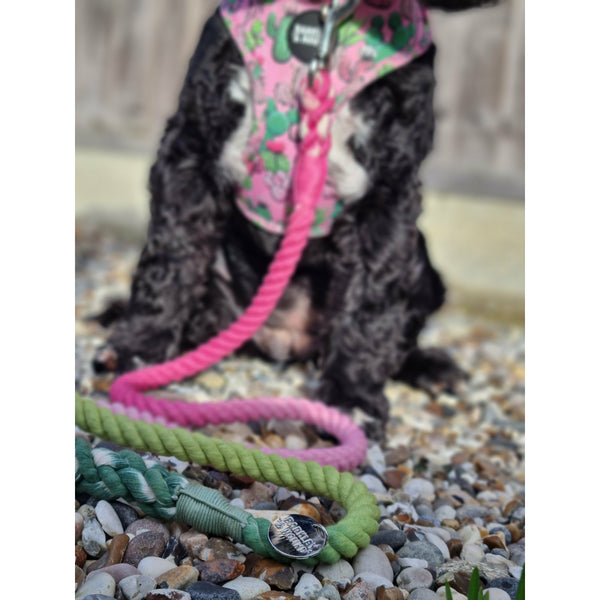 Rope Lead - Pretty Fly For A Cacti Limited Edition