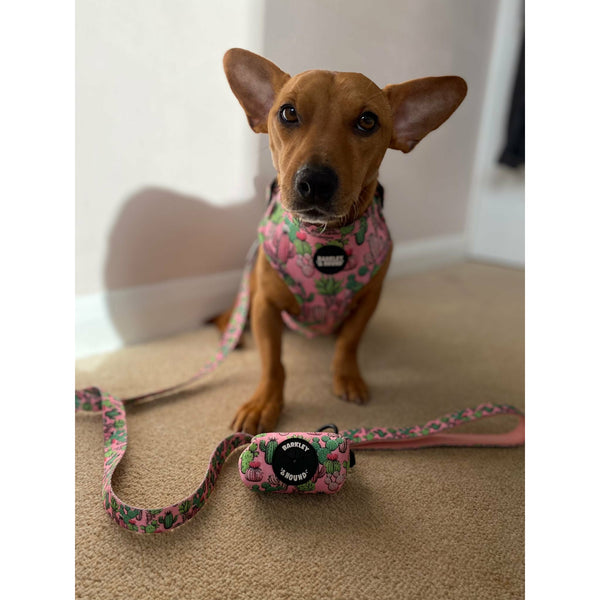 Poop Bag Holder - Pretty Fly For A Cacti