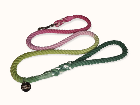 Rope Lead - Pretty Fly For A Cacti Limited Edition