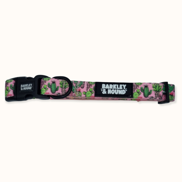 SECONDS - Adjustable Collar - Pretty Fly For A Cacti