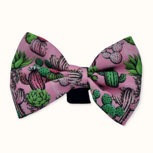 SECONDS - Bow Tie - Pretty Fly For A Cacti